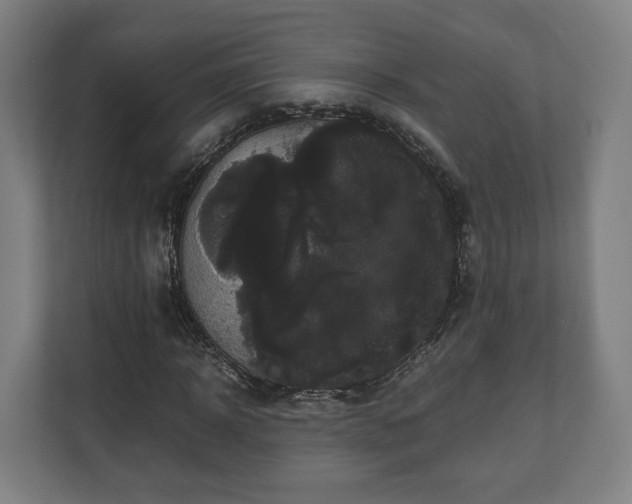 X0000111120918200907070954