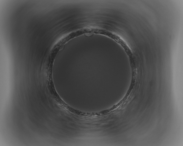 X0000111120919200907070954