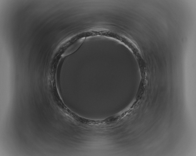 X0000111120920200907070954