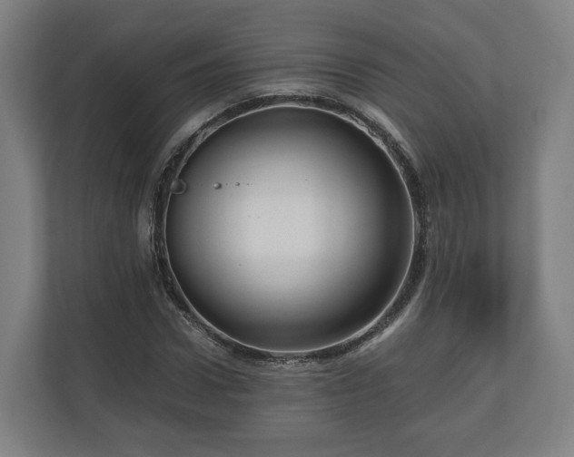 X0000111120922200907070954