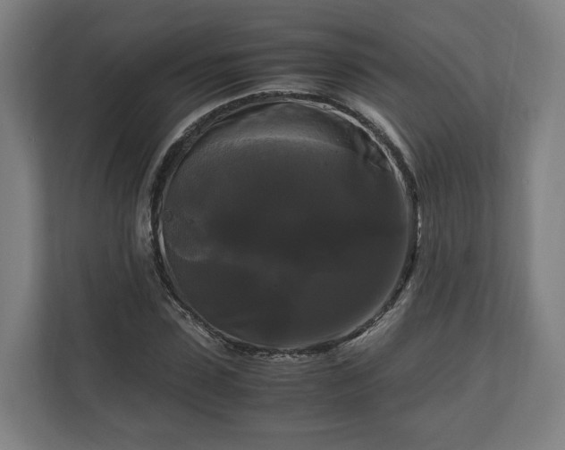 X0000111120923200907070954