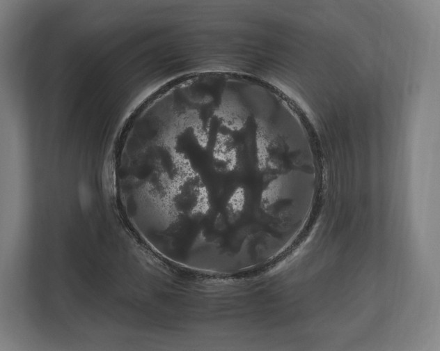 X0000111120925200907070954