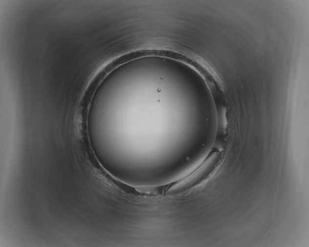 X0000111120926200907070954