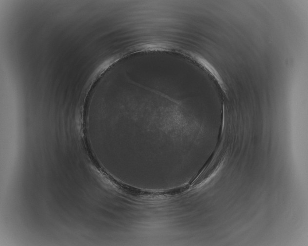 X0000111120930200907070954