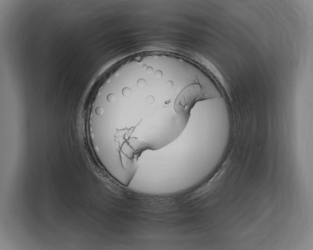 X0000111120931200907070954