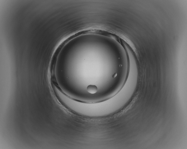 X0000111120936200907070955