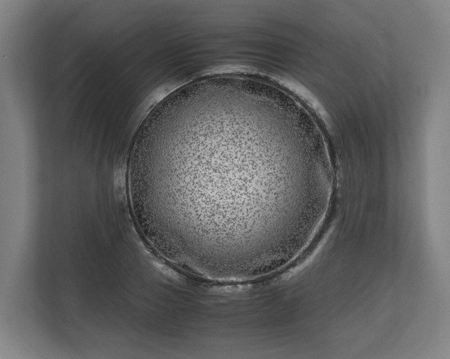 X0000111120937200907070955