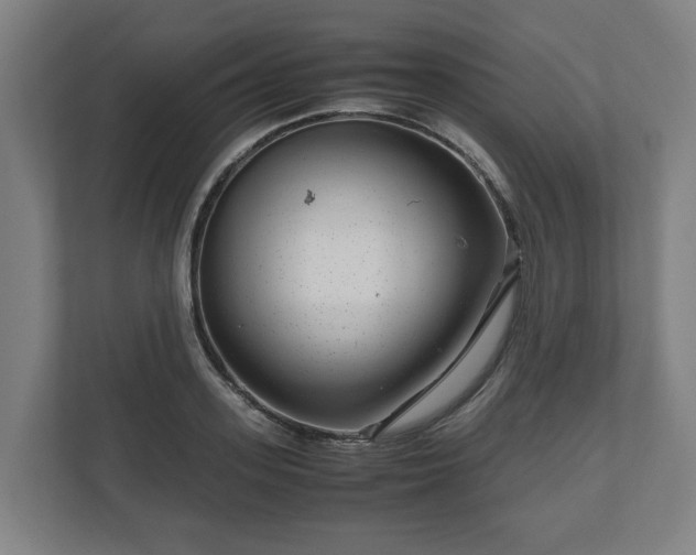 X0000111120939200907070955