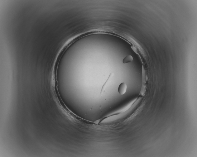 X0000111120940200907070955