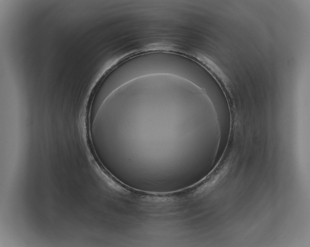 X0000111120941200907070955