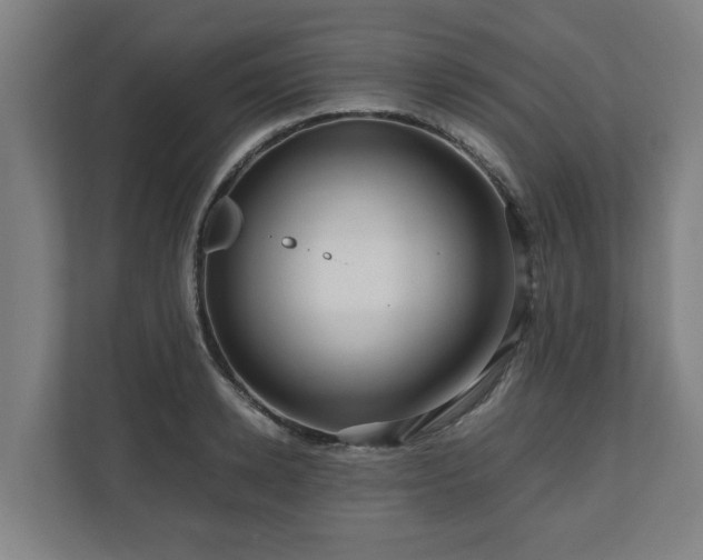 X0000111120942200907070955