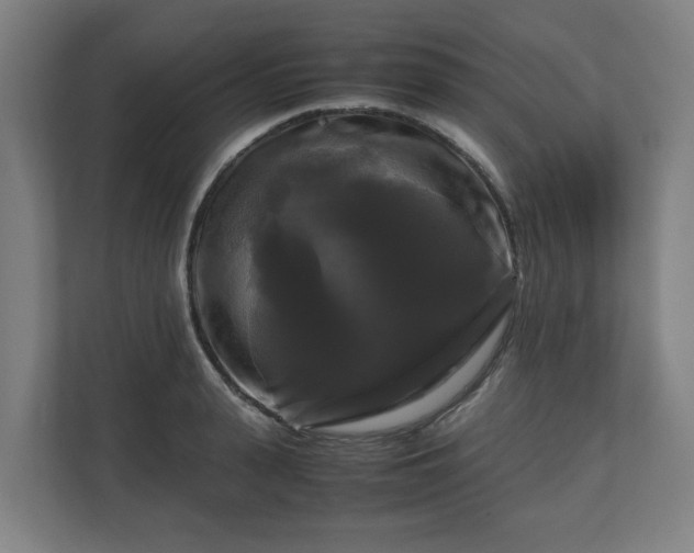 X0000111120943200907070955