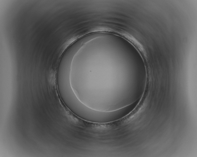 X0000111120945200907070955