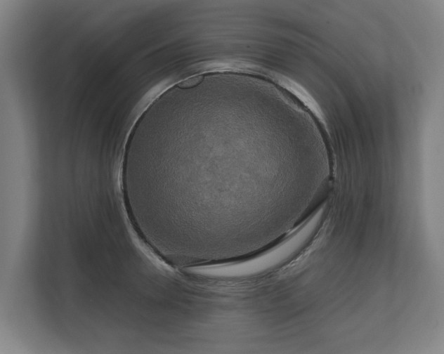 X0000111120946200907070955