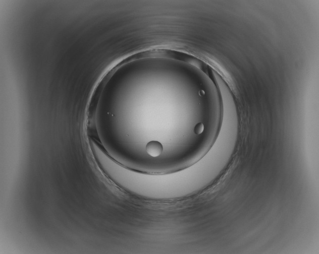 X0000111120948200907070955