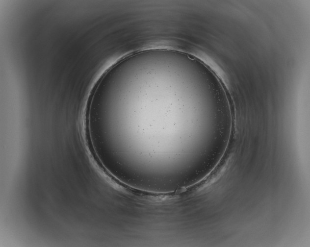 X0000111120949200907070955