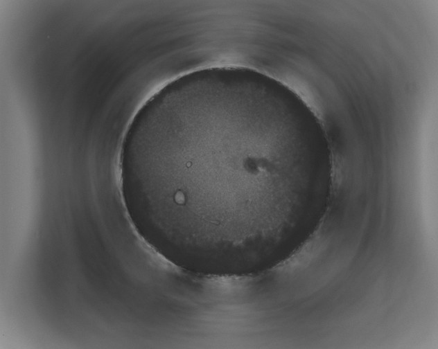 X0000111120950200907070955