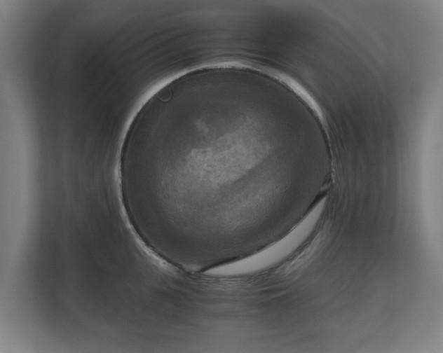 X0000111120951200907070955