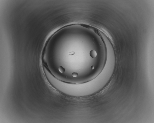 X0000111120952200907070955