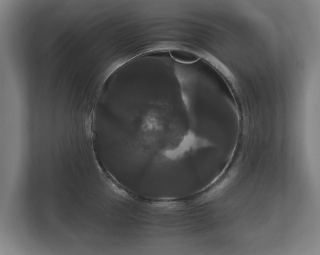 X0000111120953200907070955