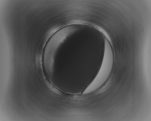 X0000111120954200907070955