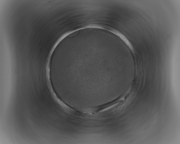 X0000111120955200907070955