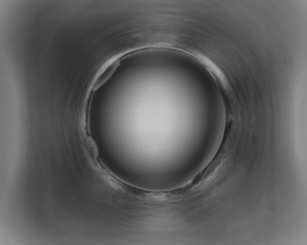 X0000111120956200907070955