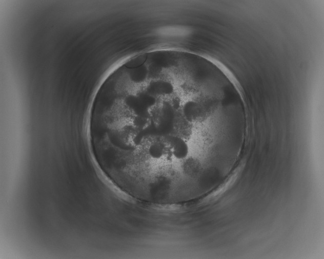 X0000111120957200907070955