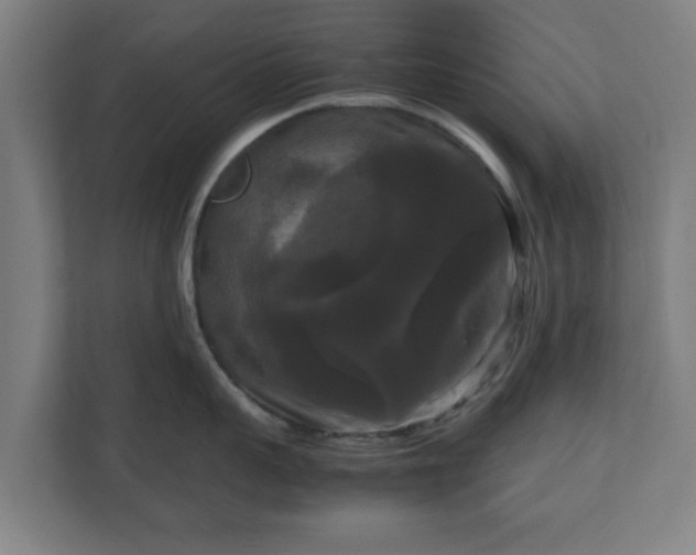 X0000111120959200907070955