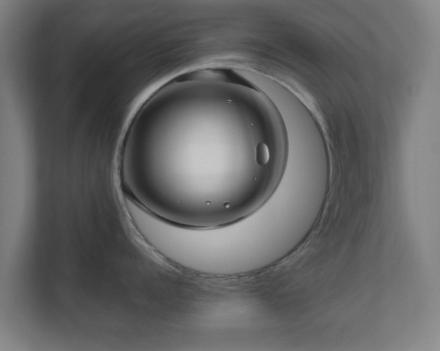 X0000111120960200907070955