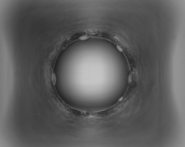 X0000111120961200907070954