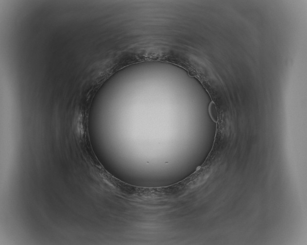 X0000111120962200907070954