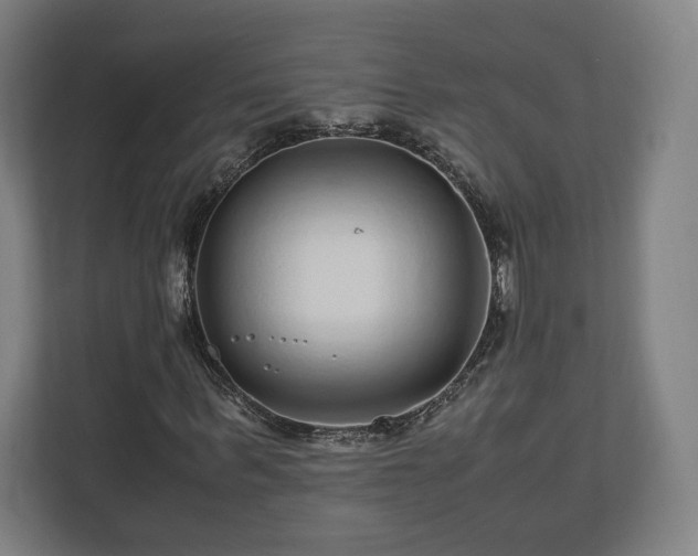 X0000111120963200907070954