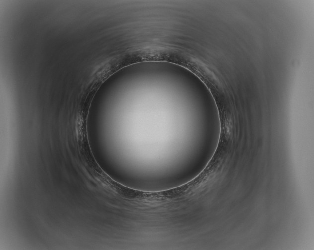 X0000111120964200907070954