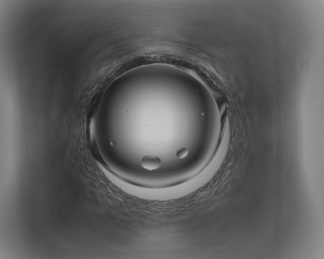 X0000111120965200907070954