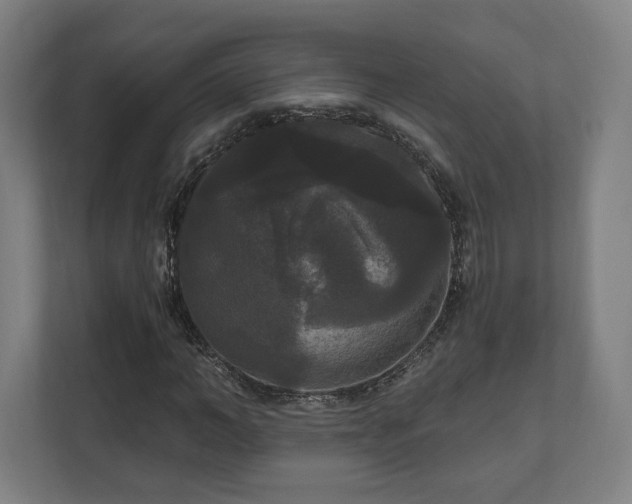 X0000111120966200907070954