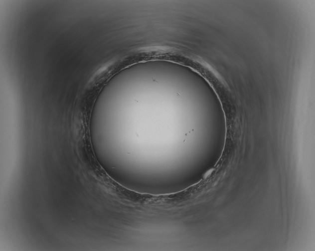 X0000111120967200907070954