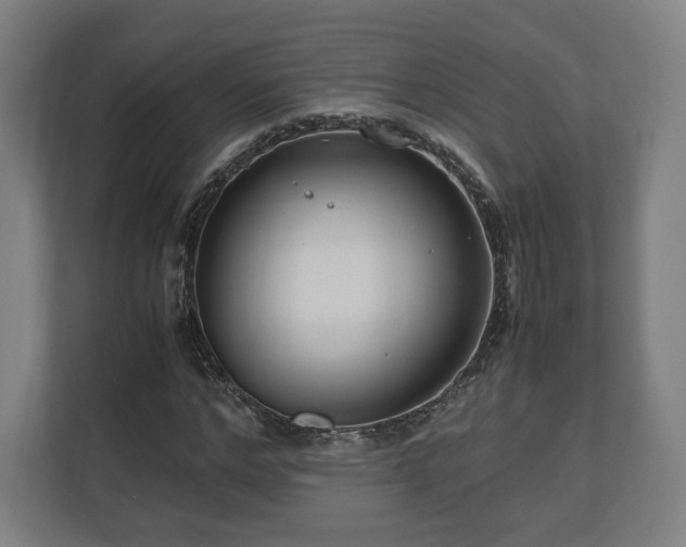 X0000111120968200907070954