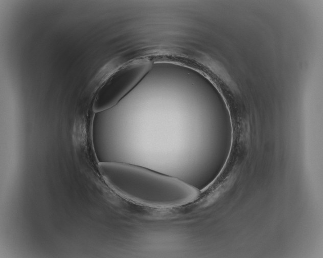 X0000111120969200907070954