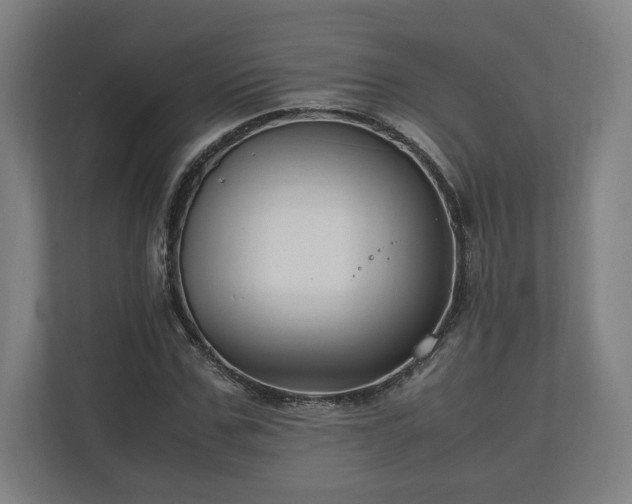 X0000111120971200907070954