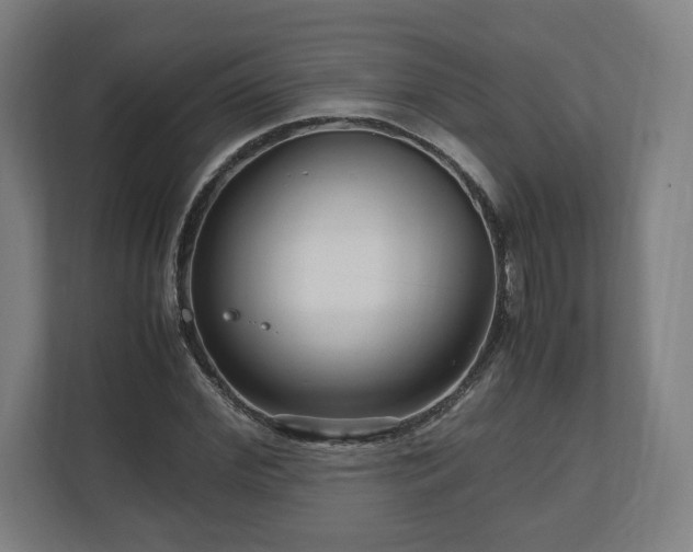 X0000111120972200907070954