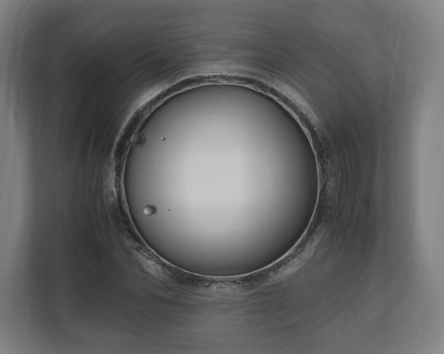 X0000111120974200907070954