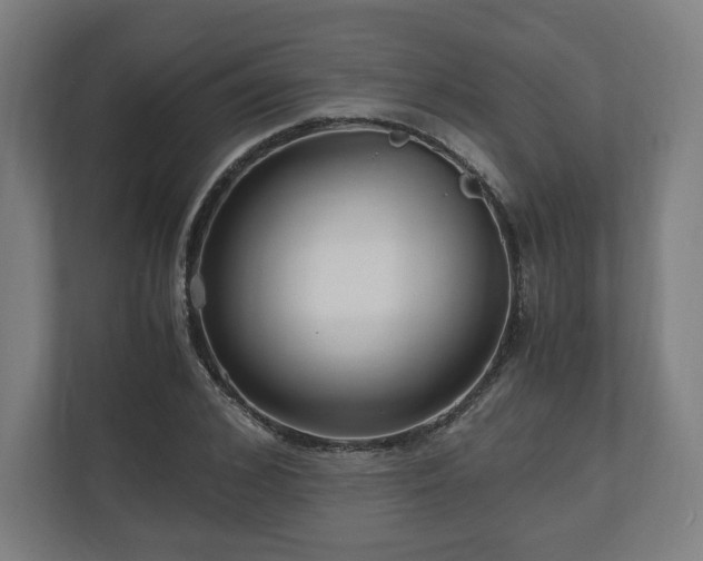 X0000111120976200907070954