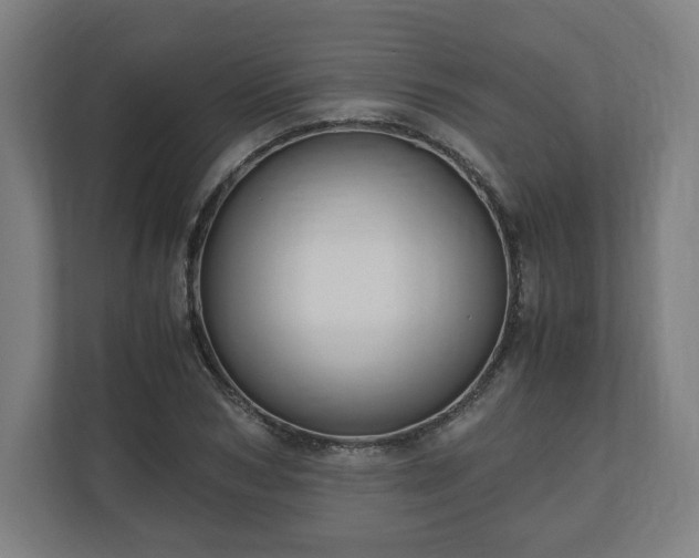 X0000111120978200907070954