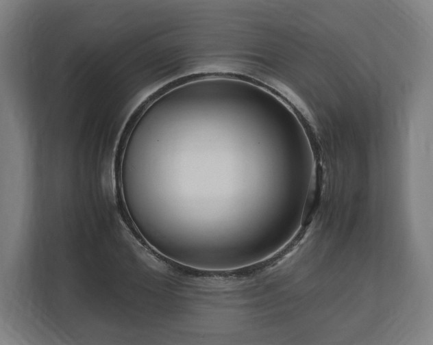 X0000111120980200907070954