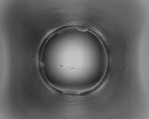 X0000111120981200907070954