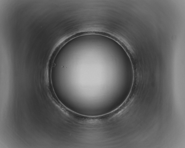 X0000111120982200907070954