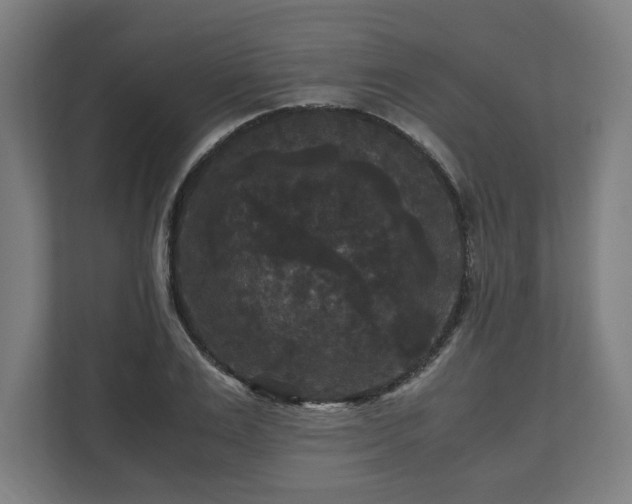 X0000111120983200907070954