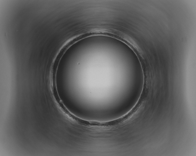 X0000111120984200907070954