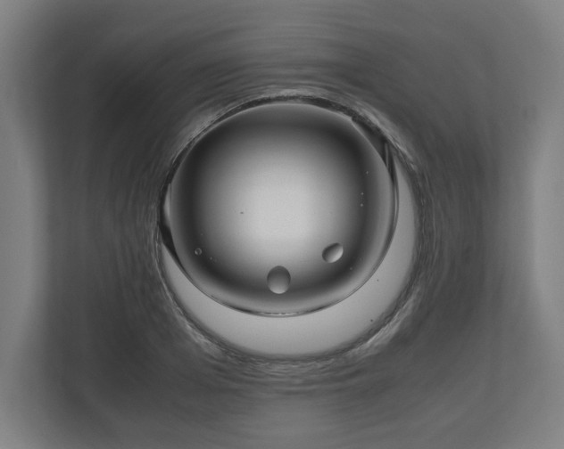 X0000111120985200907070954